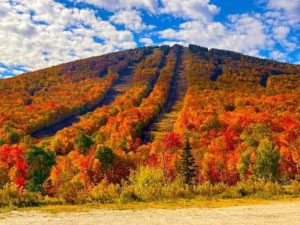 Star Cab VT-onsite-Vermont Fall Road Trip